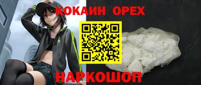 apvp Заводоуковск