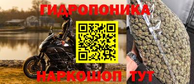 прущие крисы Заволжье