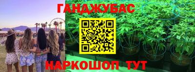 apvp Заводоуковск