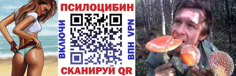 Псилоцибиновые грибы GOLDEN TEACHER Раменское