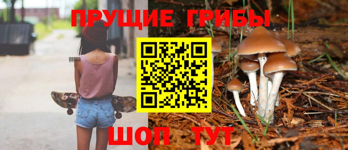 Галлюциногенные грибы мицелий  где найти   Раменское  Вход с VPN  Псилоцибиновые грибы мицелий 