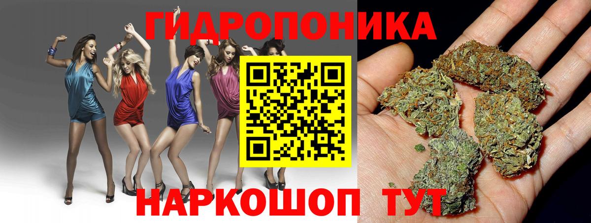 МАРИХУАНА конопля  Бошки марихуана Ganja  Марихуана план  Вход с VPN  Раменское 